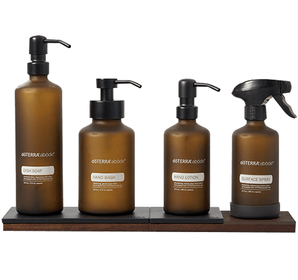 Modular Trays  Accessories